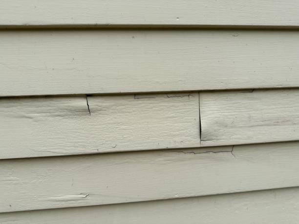 Best Property Management Cleanouts  in Haynesville, LA